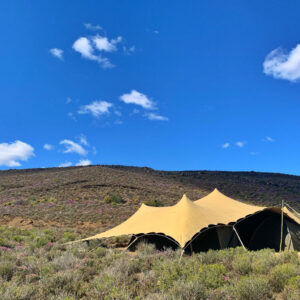 BYO Under Shade PAD 0 - POD October